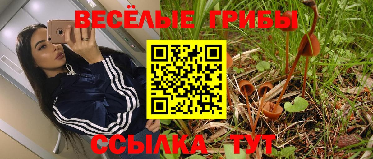 Галлюциногенные грибы мухоморы  Вход с VPN  Галлюциногенные грибы прущие грибы  Каменск-Уральский 