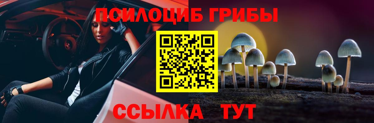 Галлюциногенные грибы Magic Shrooms Каменск-Уральский